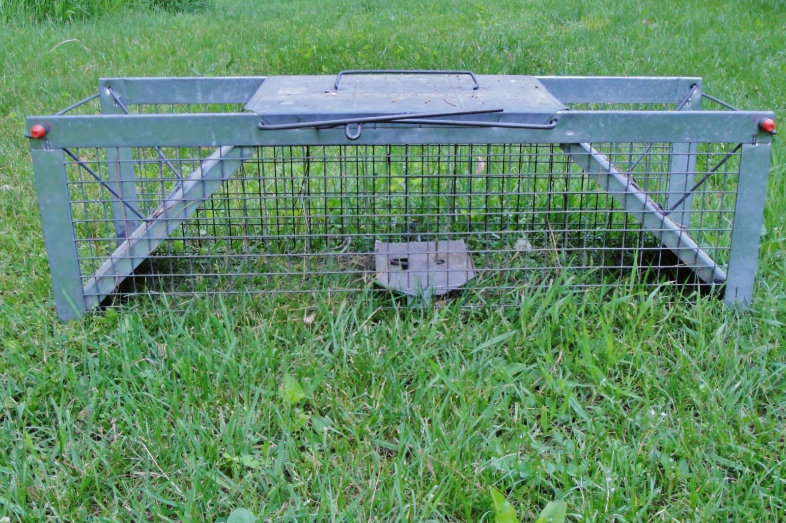 Predator Guard trap for raccoons in grass