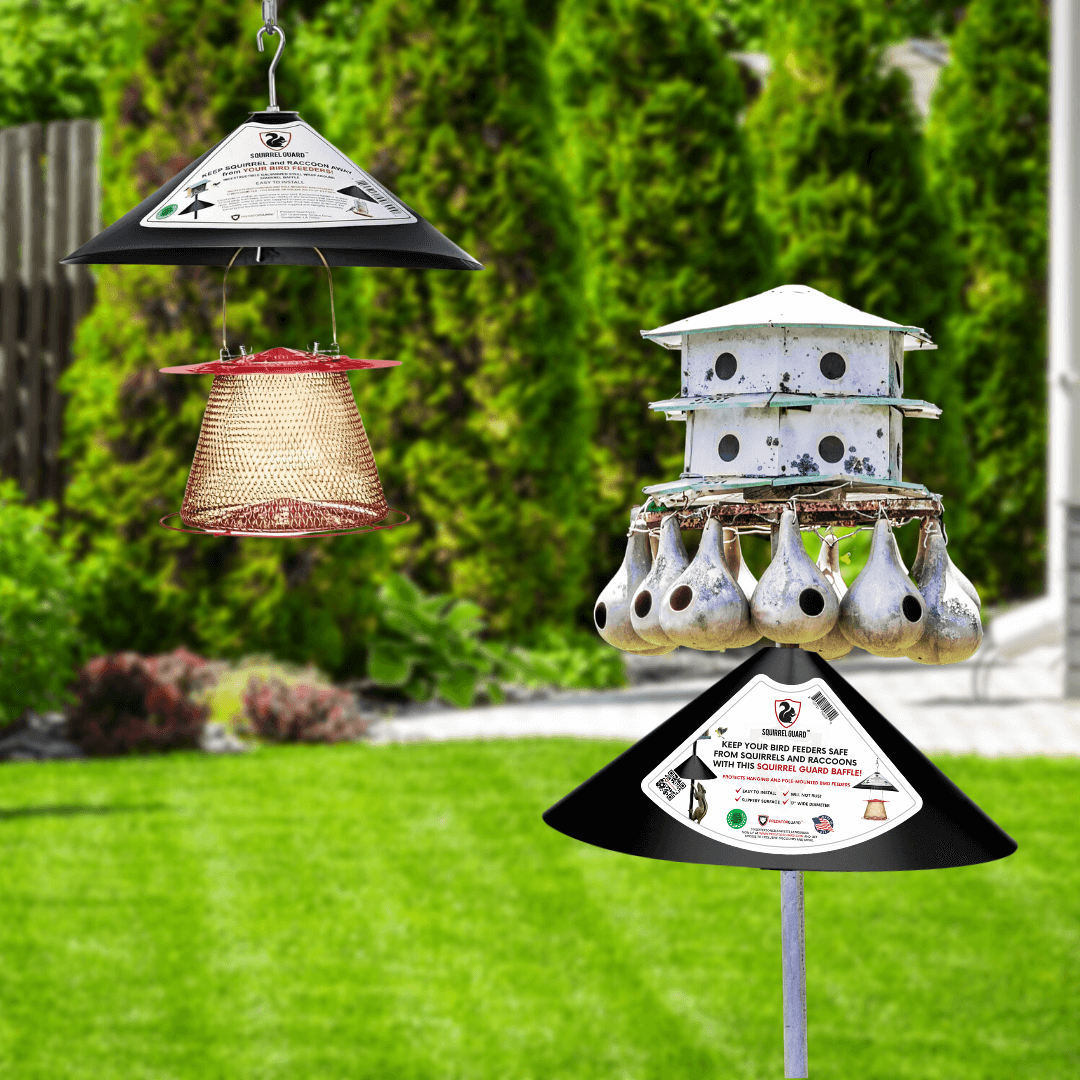 Predator Guard | Collections | Bird Feeder Products