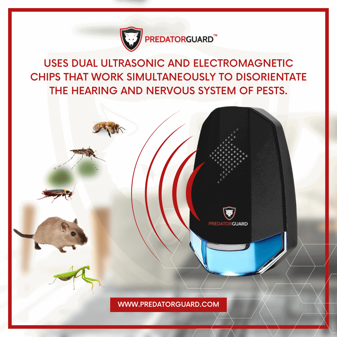 Predator Guard Pestaway Ultrasonic Indoor Animal Repeller with mouse, grasshopper, mosquito, cockroach and bee