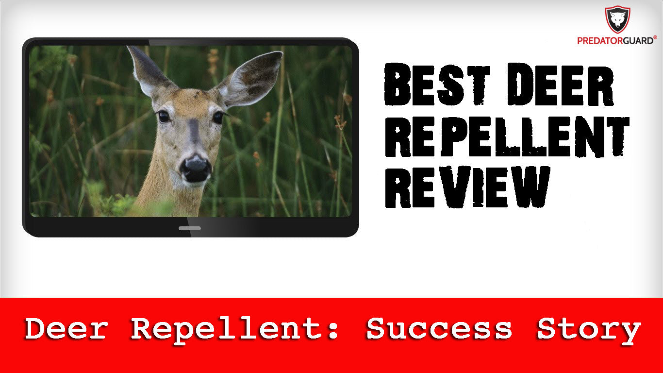 Predator Guard best deer repellent review
