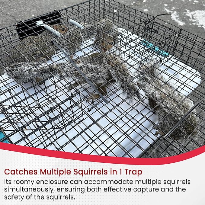 Squirrel Guard Squirrel Multi-Catch Animal Trap - Live Animal Trap for Squirrels and Small Rodents