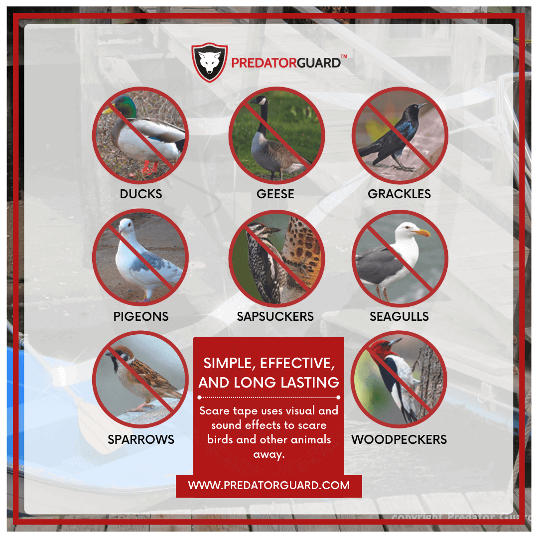 Predator Guard Reflective Scare Tape for daytime predators with list of birds to repel