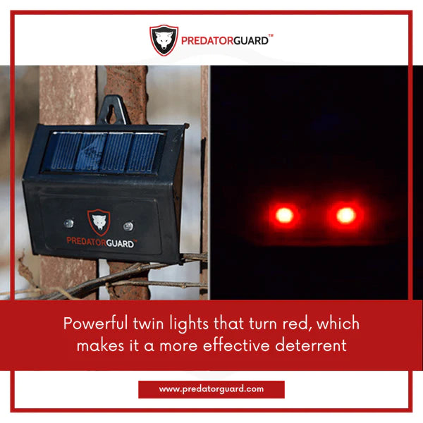 Solar LED Deterrent Ligh - product Feature - Predator Guard