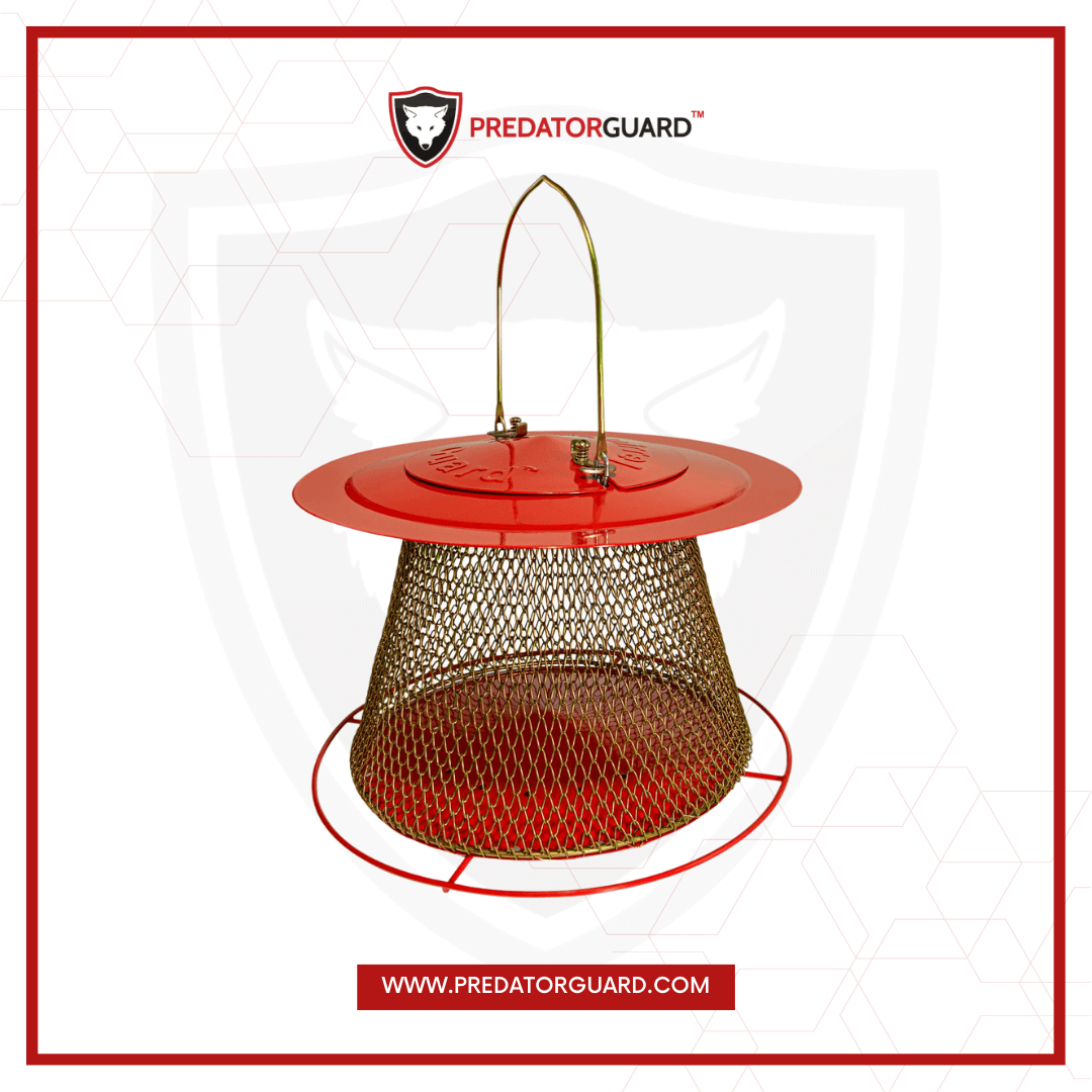 Collapsible Hanging Mesh Bird Feeder | Predator Guard | Predator Guard