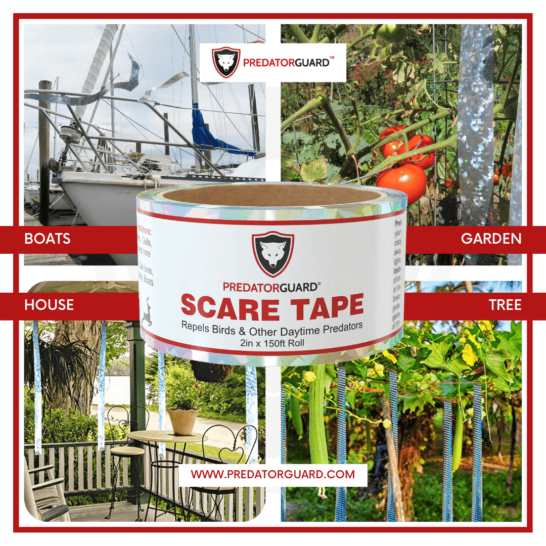 Predator Guard Reflective Scare Tape for daytime predators with boats, garden, house and tree